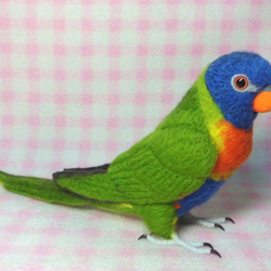 ライフサイズ♪ ゴシキセイガイインコ 羊毛フェルト　羊毛インコ　受注作成　うちの子オーダー可能　工房小鳥屋さん 4枚目の画像