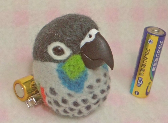 藍鸚鵡 ☆ 羊毛長尾小鸚鵡（中型長尾小鸚鵡） 磁鐵 / 胸針 任意選擇 Made to order Kobo Kotoriya 第2張的照片