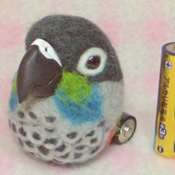 藍鸚鵡 ☆ 羊毛長尾小鸚鵡（中型長尾小鸚鵡） 磁鐵 / 胸針 任意選擇 Made to order Kobo Kotoriya 第5張的照片