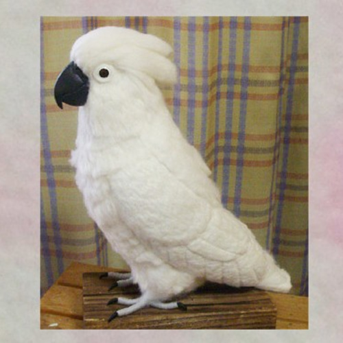 ライフサイズ 羊毛タイハクオウム life size Umbrella cockatoo 受注