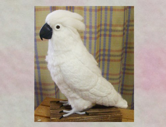 ***現實大小♪大白鸚鵡☆羊毛氈***Wool figure Real size Umbrella cockatoo 第2張的照片