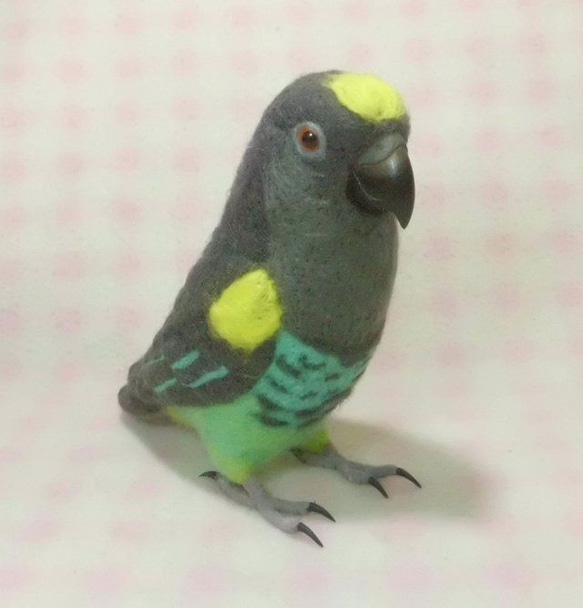 ライフサイズ♪ ムラクモインコ 羊毛フェルト 羊毛インコ 鳥好きさん プレゼント・ギフト・贈物・メモリアル　受注作成 2枚目の画像