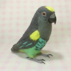 ライフサイズ♪ ムラクモインコ 羊毛フェルト 羊毛インコ 鳥好きさん プレゼント・ギフト・贈物・メモリアル　受注作成 4枚目の画像