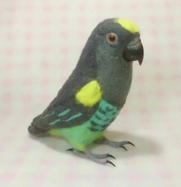 ライフサイズ♪ ムラクモインコ 羊毛フェルト 羊毛インコ 鳥好きさん プレゼント・ギフト・贈物・メモリアル　受注作成 4枚目の画像