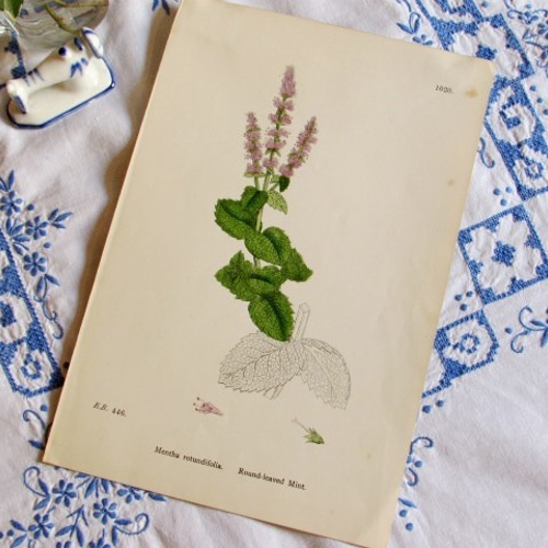 D-446】mint様デザインペーパー