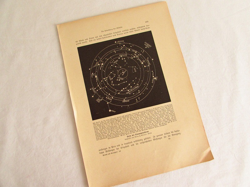 ハトの図版　アンティーク版画　マイヤー百科事典　ドイツ　リトグラフ　鳩　額付 藤田嗣治 絵画 レオナール・フジタ 人物画 リトグラフ 複製版画