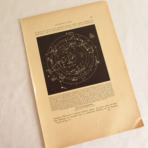 ハトの図版　アンティーク版画　マイヤー百科事典　ドイツ　リトグラフ　鳩　額付 ハトの図版 アンティーク版画 マイヤー百科事典 ドイツ