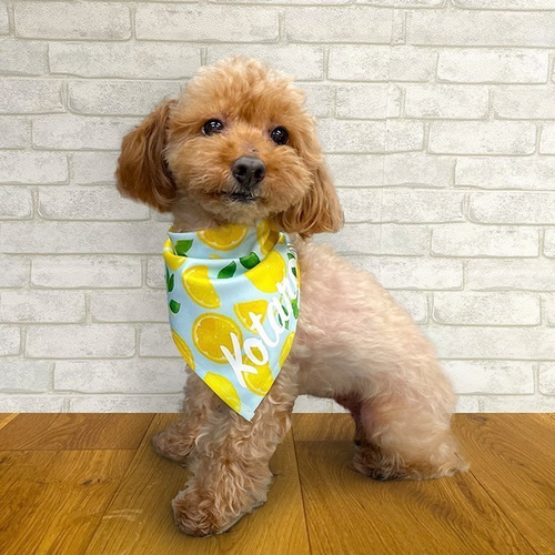 kiitti!様オーダー品　hanahana犬服ハンドメイド kiitti!様オーダー品 hanahana犬服ハンドメイド