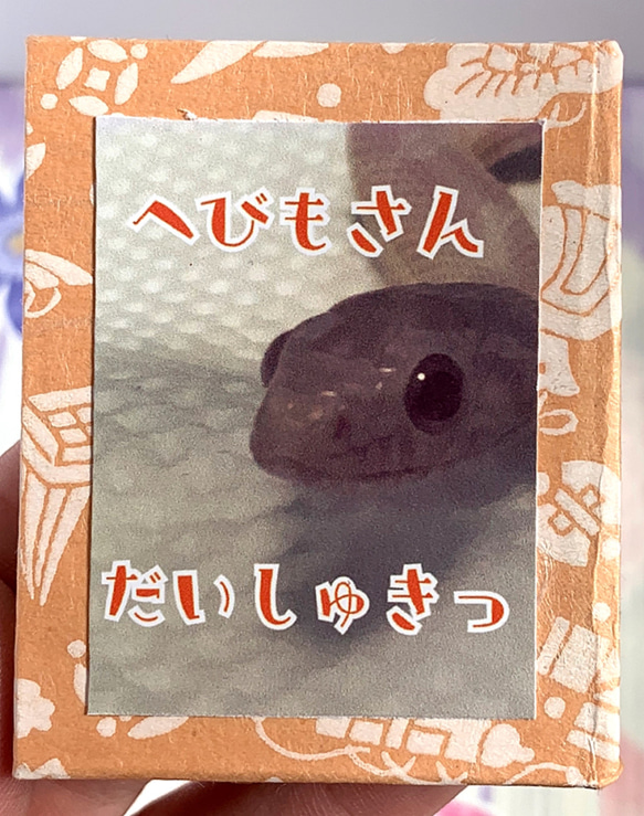 豆本　へびもさんだいしゅきっ 1枚目の画像