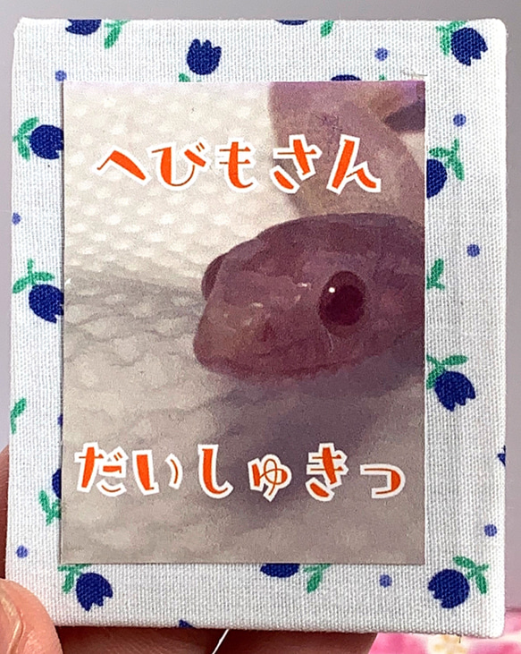 豆本　へびもさんだいしゅきっ 1枚目の画像