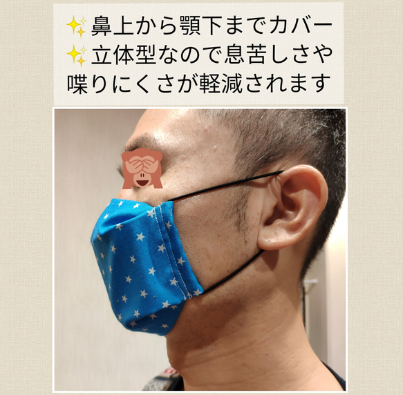 インナーポケット付き　立体型マスク　大人用　  送料無料 3枚目の画像