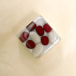 豆類樣品的“紅與白”磁鐵 第2張的照片