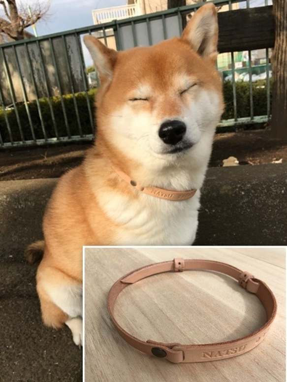 中型犬用ヌメ革・迷子チョーカー（調節式） ペット服・アクセサリー