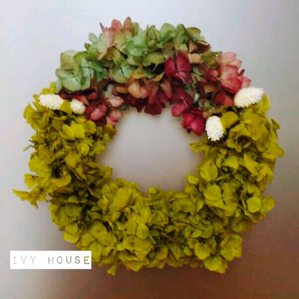 あじさいのリース（fall colors）24㎝