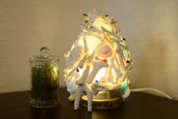 サンゴランプ　（珊瑚ランプ）④ 1枚目の画像