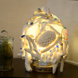 サンゴランプ　（珊瑚ランプ）④ 2枚目の画像