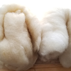 コリデールバッツ国産羊毛45g 送料込 2枚目の画像