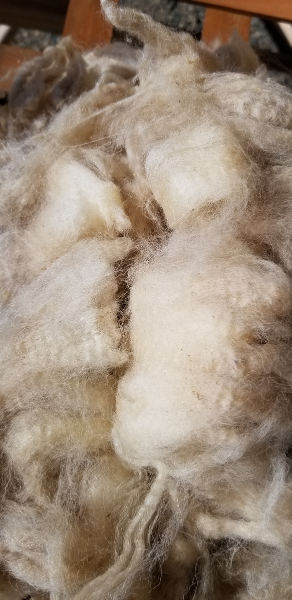 フライスランド系湯洗い羊毛300g 国産羊毛 長野県産 送料別 夾雑物多 受注製作 4枚目の画像