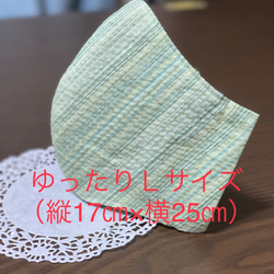 1000円→880円！　夏〜秋にも　しじら織・接触冷感！マスクシートも入る！　男性・大きいサイズ　涼しげマスク　接触冷感 1枚目の画像