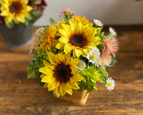 1_3adbd81b1b70216d5eb944450184