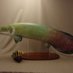 Amazon.co.jp: ○ 38cmピラニア 熱帯魚 観賞魚 フィギュア