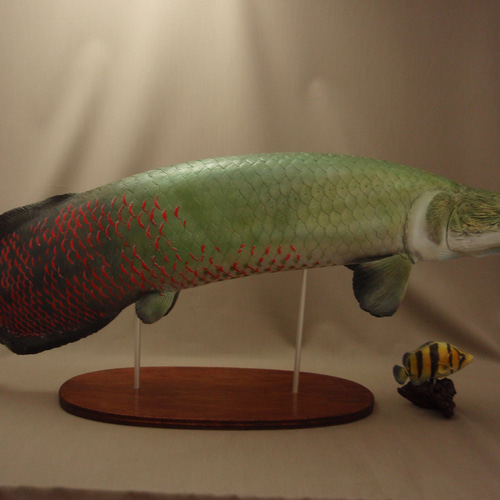 【予約受付中】 82cm craft fish 立体・オブジェ 魚フィギュア ピラルク 生き物・恐竜
