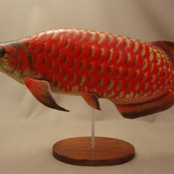 アロワナ　フィギュア　魚　置物 1枚目の画像