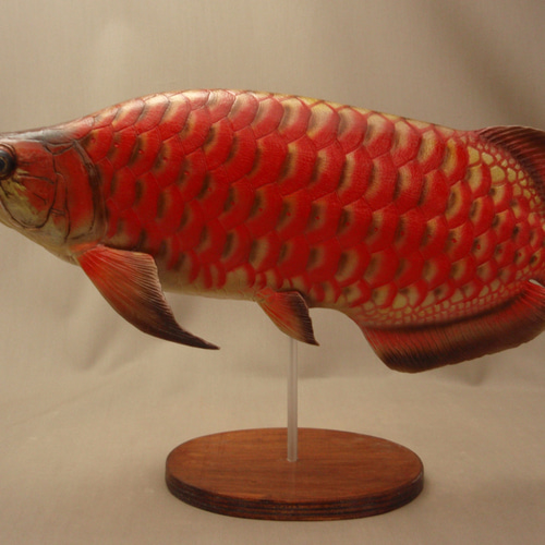 アロワナ フィギュア 魚 置物 立体・オブジェ fish craft REAL アロワナ フィギュア 魚 置物 立体・オブジェ fish craft REAL