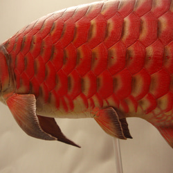 アロワナ　フィギュア　魚　置物 3枚目の画像