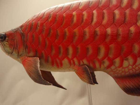 アロワナ　フィギュア　魚　置物 3枚目の画像