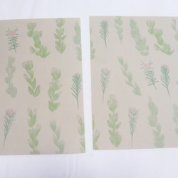 緑の草花　レターセット 10枚目の画像