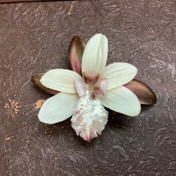 布花_専用ページです 布花図鑑 : 森の広場ヤフーショップ - 通販 - Yahoo!ショッピング