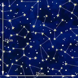 星座 michael miller cm6792midn 2枚目の画像