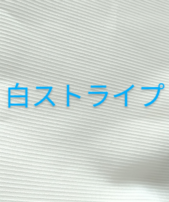 【夏】保冷剤ポケット付オールシーズン白ストライプマスク!布フィルター付属、ノーズワイヤーOP,小顔さん対応サイズ 4枚目の画像