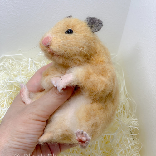 羊毛フェルト キンクマさん 羊毛フェルト takasi75 通販 羊毛フェルト キンクマさん 羊毛フェルト takasi75 通販