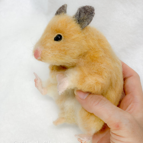 専用です ◇キンクマハムスター＆バナナ◇羊毛フェルト 今月のキンクマちゃん🐹⁡ ⁡ #ハムスター #ハムスター好きな人と