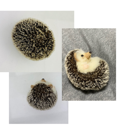 羊毛フェルト ハリネズミ 仰向けポーズ 羊毛フェルト takasi75