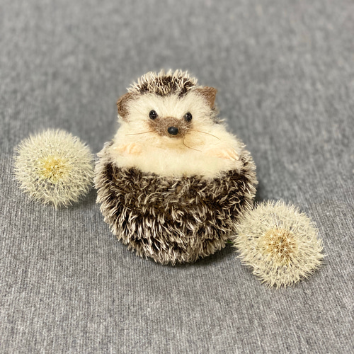 羊毛フェルト ハリネズミ 仰向けポーズ ベビーサイズ 羊毛