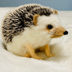 KANMI✩羊毛フェルト 羊毛フェルト ハリネズミ 羊毛フェルト takasi75 通販 8979036｜Creema