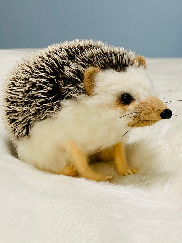 羊毛フェルト ハリネズミ 羊毛フェルト takasi75 通販 8979036｜Creema