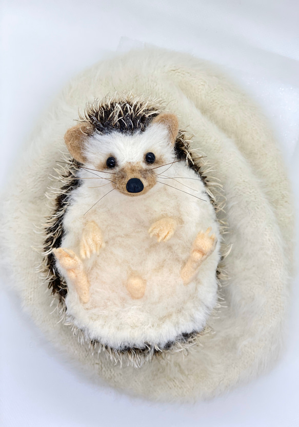 羊毛フェルト ハリネズミ 大人サイズ 仰向けポーズ 羊毛フェルト