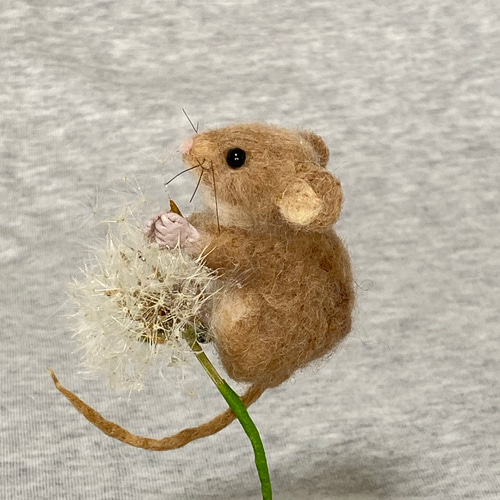 羊毛フェルト ネズミ with タンポポ綿毛のドライフラワー コルク