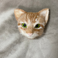 羊毛フェルト フクロウ アフリカオオコノハズク ミニサイズ 羊毛