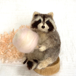 羊毛フェルト フクロウ アフリカオオコノハズク ミニサイズ 羊毛