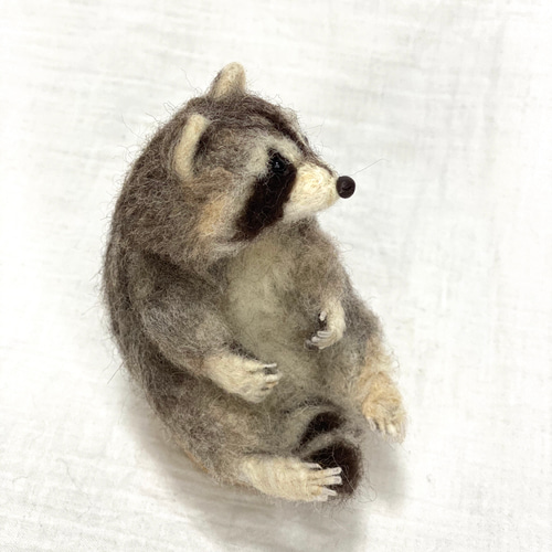 羊毛フェルト アライグマ 羊毛フェルト takasi75 通販 9898496｜Creema