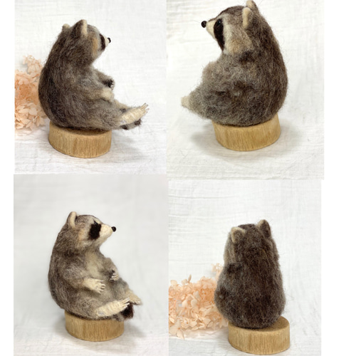 羊毛フェルト アライグマ 羊毛フェルト takasi75 通販 9898496｜Creema