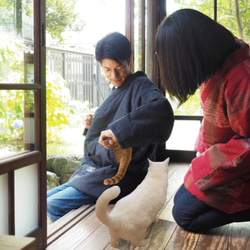 ねん猫はんてんー亀甲ー 5枚目の画像