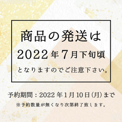 【予約販売】ねん猫半纏ー大赤縞ー 2枚目の画像