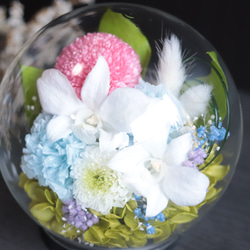 大切な方に贈る仏花～蘭とポンポンマム・ベビーブルー＊プリザーブドフラワー 11枚目の画像