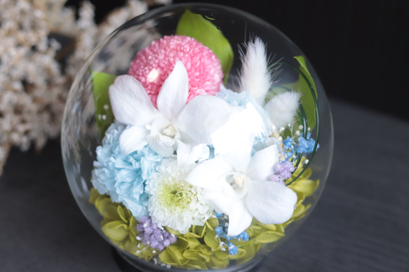 大切な方に贈る仏花～蘭とポンポンマム・ベビーブルー＊プリザーブドフラワー 11枚目の画像